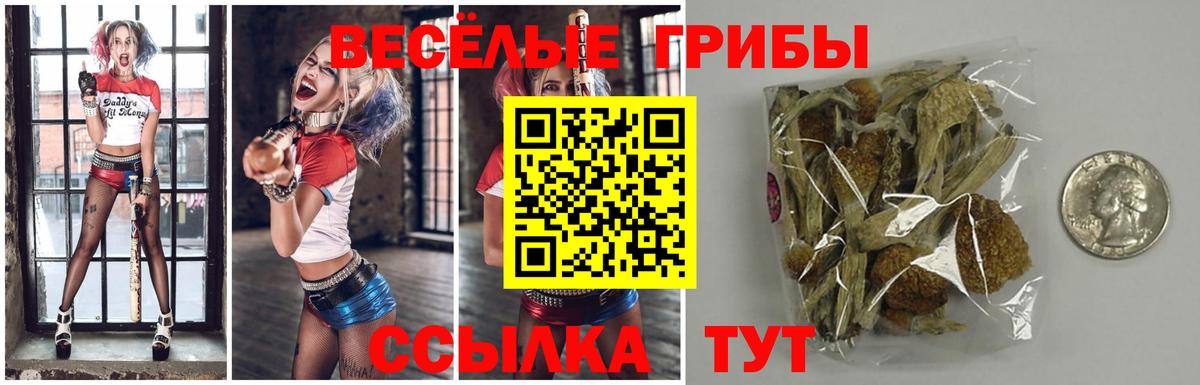 Галлюциногенные грибы мицелий Горно-Алтайск